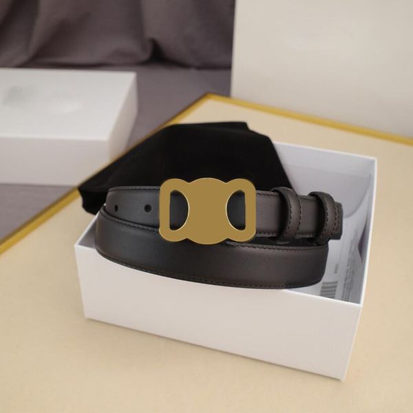 Classic Designer Belt Genuine Leather Belts Man Woman Design Needle Buckle Gold Sliver Color with Gift Box Size 90-160 Optional 2.5CM
