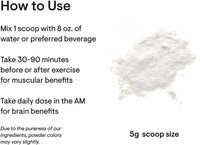 THORNE Creatine - Micronized Creatine Monohydrate Powder - Support for Muscles & Cognitive Function* - for Women & Men - Unflavored - NSF Certified for Sport - 5 G per Serving - 90 Servings