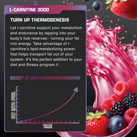 Nutrex Research L-Carnitine 3000 (31 Servings, Berry Blast) | Liquid Shots, Stimulant Free | Supports Muscle Recovery for Men and Women